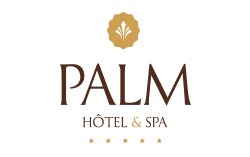 Logo de l'hôtel PALM, Hôtel et SPA à Petite île